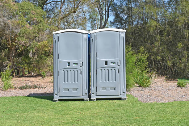 Best Pest Control for Lawns  in Plainview, NY